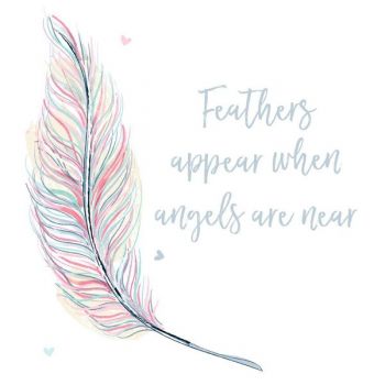 Feathers Appear Sympathy Card