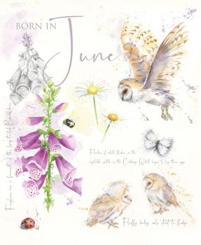 Cherry Orchard Natures Diary Born in June Birthday Card