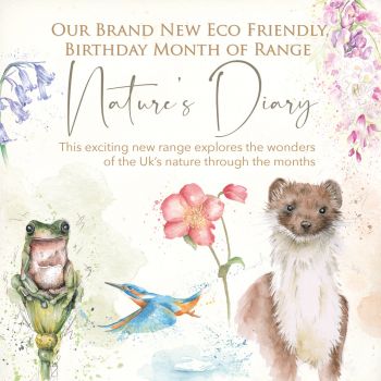 Nature’s Diary 12 Months Collection of Cards