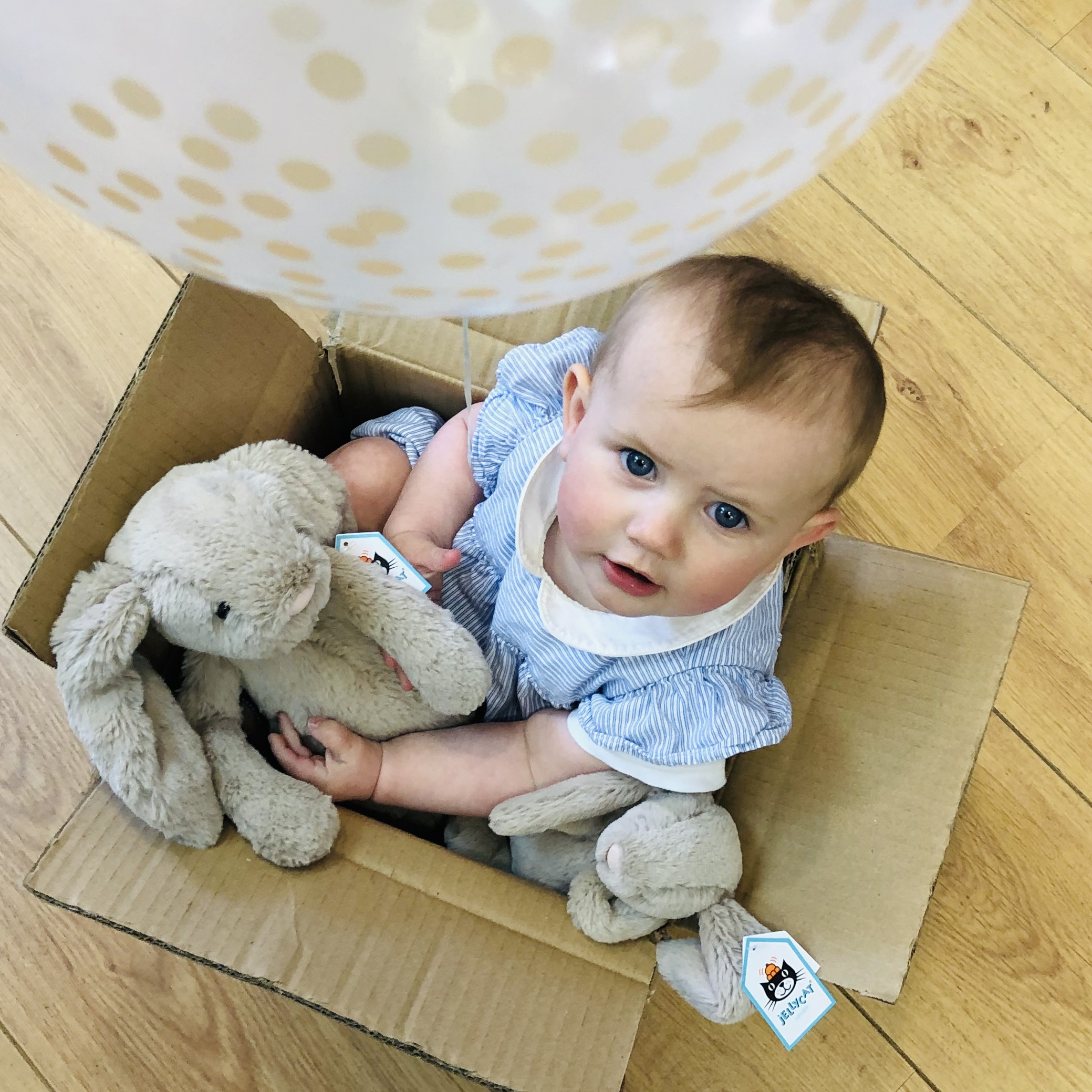 Jellycat Cuddles and More!